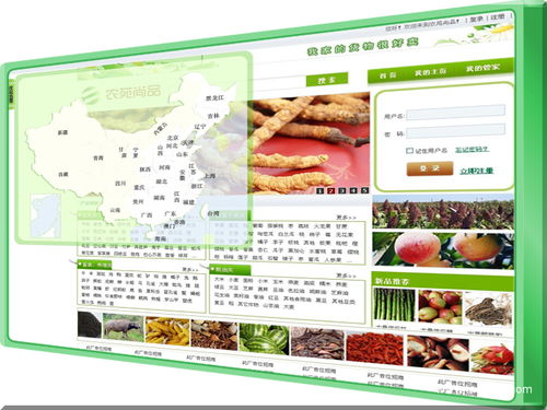 jeek 的案例庫 專業的軟件外包網和項目外包 項目交易平臺