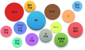 軟件外包的制約因素