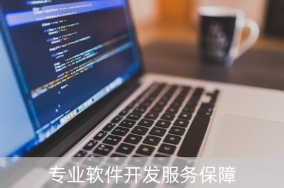 專業軟件開發服務保障(專業軟件開發服務保障包括哪些)
